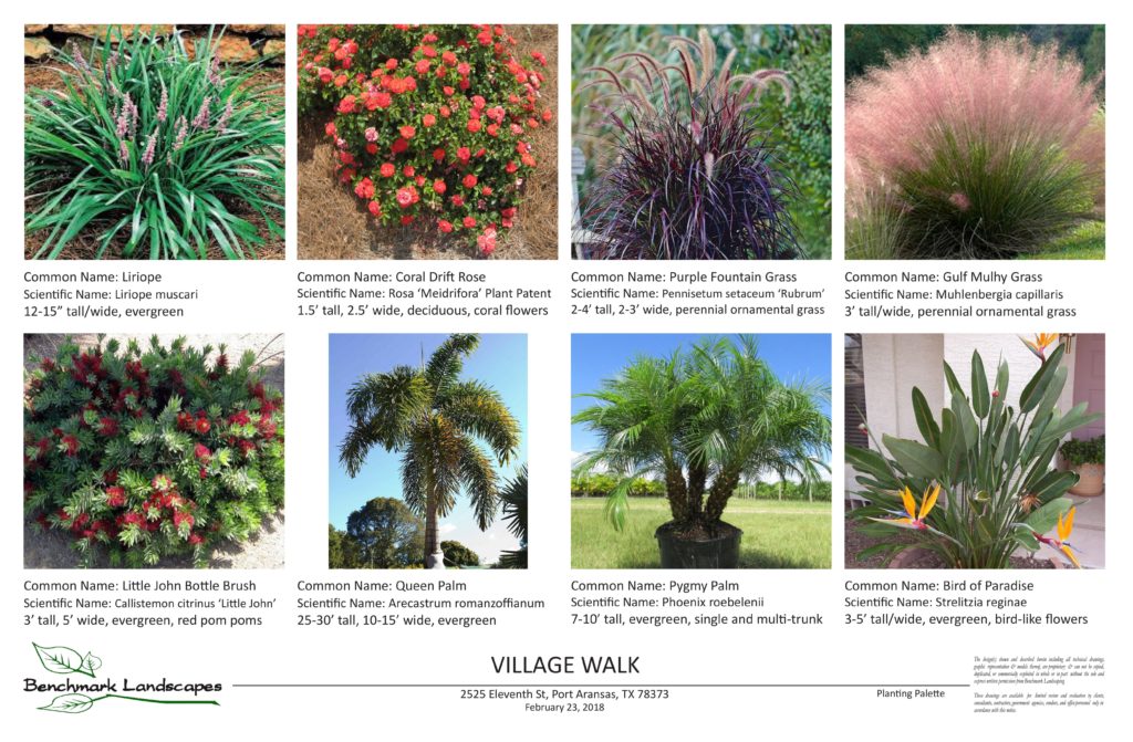 Preferred Plant Palette